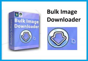 Bulk Image Downloader 6.80.0.0 Crack (2023)